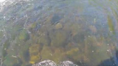 Balıkçının Nehirdeki POV Fotoğrafı - 1207