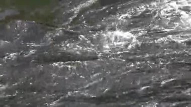 Nehir Hızı 'nda Suyun Yakın Çekimi - 1208