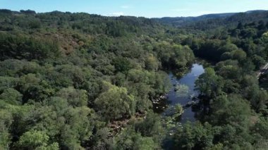Lugo 'daki Mio Nehri' nin Orman Kıyısı 'nda Hava Aracı Görüntüleme ve İndirme - 1286