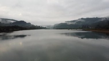 Martı Şafakta Uçuyor Orin Estuary, Cantabria, İspanya - 1569