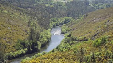 Galiçya 'daki Ulla Nehri Manzarası, İspanya D-Log Profili - 1571