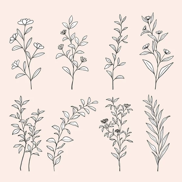 Flores Desenho Arte Linha Floral Esboço Desenhado Mão Folhas Botânicas Ilustrações De Stock Royalty-Free