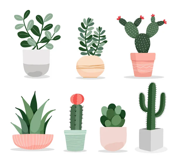 Una Colección Cactus Lindos Plantas Suculentas Macetas Plantas Interior Ilustración Ilustraciones de stock libres de derechos