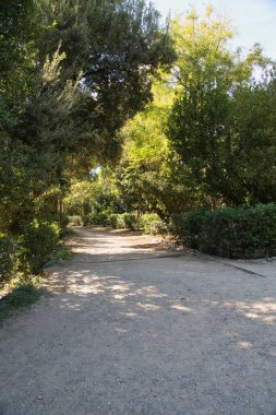 Atina 'daki ulusal bahçe, canlı yeşilliklerle çevrili sakin bir patika, yürüyüşçüleri huzurlu bir ormanda, ılık güneş ışığıyla yıkanmış doğanın güzelliğinin tadını çıkarmaya çağırıyor..