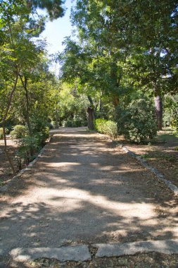 Atina 'daki ulusal bahçe, canlı yeşilliklerle çevrili sakin bir patika, yürüyüşçüleri huzurlu bir ormanda, ılık güneş ışığıyla yıkanmış doğanın güzelliğinin tadını çıkarmaya çağırıyor..