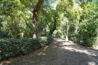 Atina 'daki ulusal bahçe, canlı yeşilliklerle çevrili sakin bir patika, yürüyüşçüleri huzurlu bir ormanda, ılık güneş ışığıyla yıkanmış doğanın güzelliğinin tadını çıkarmaya çağırıyor..