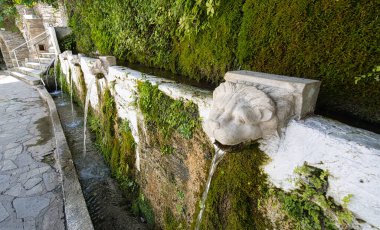 Doğal kaynak suyu taştan fışkırarak Andros, Greec 'teki Dionysus Springs' in yosunlu duvarına akar.