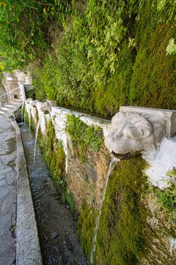 Doğal kaynak suyu taştan fışkırarak Andros, Greec 'teki Dionysus Springs' in yosunlu duvarına akar.
