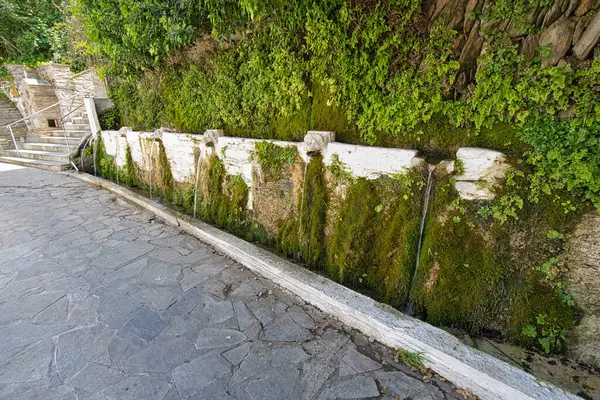 Doğal kaynak suyu taştan fışkırarak Andros, Greec 'teki Dionysus Springs' in yosunlu duvarına akar.