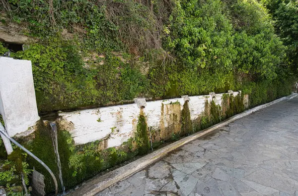 Doğal kaynak suyu taştan fışkırarak Andros, Greec 'teki Dionysus Springs' in yosunlu duvarına akar.