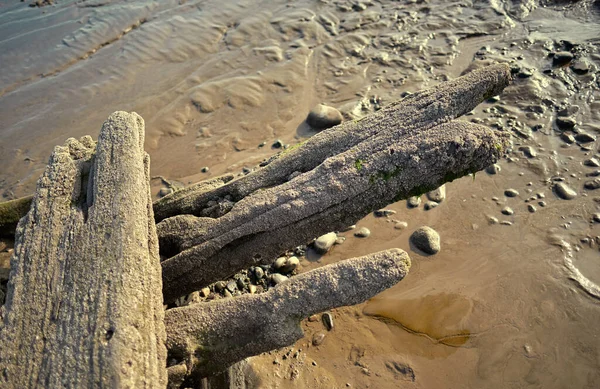 Une Vieille Carcasse Historique Navire Naufragé Bois Exposée Sur Une — Photo