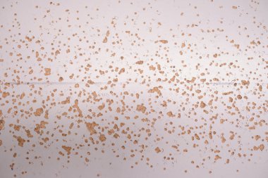 Endüstriyel, yıpranmış, kumlu kentsel ahşap bir panel. Şehir sokak dokusu ve çürüyen hava şehri ortamı. kum ve pürüzlü ahşap döşeme.