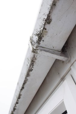 Kirli, beyaz plastik pvc olukları ve plastik fasiaların üzerinde yosunlu yeşil küf olan drenaj boruları. Tıkanmış kanallar ve oluklar için pencere temizleyicileri ve iyi drenaj için düzenli bahçe bakımı gerekiyor.