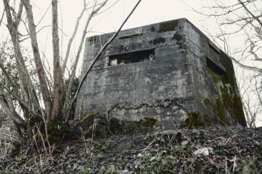 A brutalist cold gritty concrete world war two, ww2, pillbox war bunker defence fortress in a dirty forgotten woodland in europe. wartime relics and forgotten outpost using solid architecture to defend invasions. clipart