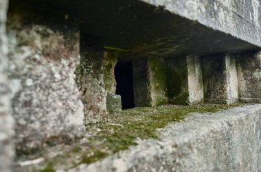 Avrupa 'da unutulmuş kirli bir ormanlık alanda, bir savunma kalesinde, acımasız, soğuk, sert, beton beton bir dünya savaşı, ww2, makineli tüfek yuvası. Savaş zamanı kalıntıları ve unutulmuş ileri karakol 