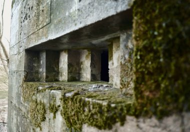 Avrupa 'da unutulmuş kirli bir ormanlık alanda, bir savunma kalesinde, acımasız, soğuk, sert, beton beton bir dünya savaşı, ww2, makineli tüfek yuvası. Savaş zamanı kalıntıları ve unutulmuş ileri karakol 