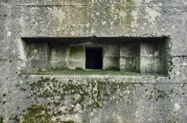Avrupa 'da unutulmuş kirli bir ormanlık alanda, bir savunma kalesinde, acımasız, soğuk, sert, beton beton bir dünya savaşı, ww2, makineli tüfek yuvası. Savaş zamanı kalıntıları ve unutulmuş ileri karakol 