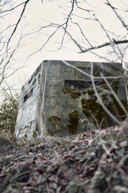 A brutalist cold gritty concrete world war two, ww2, pillbox war bunker defence fortress in a dirty forgotten woodland in europe. wartime relics and forgotten outpost using solid architecture to defend invasions. clipart