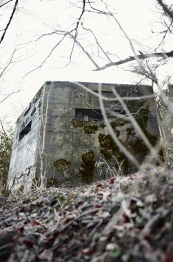 A brutalist cold gritty concrete world war two, ww2, pillbox war bunker defence fortress in a dirty forgotten woodland in europe. wartime relics and forgotten outpost using solid architecture to defend invasions. clipart