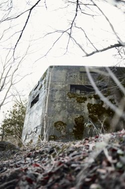 Avrupa 'da unutulmuş kirli bir ormanlık alanda acımasız, soğuk, sert, beton beton bir dünya savaşı iki, savaş sığınağı sığınağı savunma kalesi. İstilaları savunmak için katı mimari kullanan savaş kalıntıları ve unutulmuş ileri karakol.