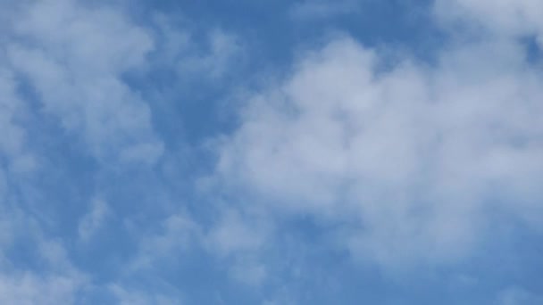 Білі Хмари Рухаються Фоні Блакитного Неба Час Лапсе Чистий Птахів — стокове відео