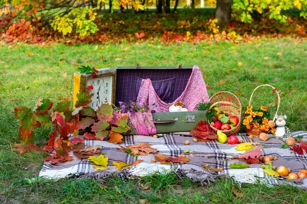 Doğadaki çocuklar için sonbahar pikniği. Parkta sonbahar pikniği. Aktif yaşam tarzı konsepti. Yatak örtüsü, eski saat, sonbahar yaprakları, elmalar, meyve sepeti, piknik sepetindeki yumuşak oyuncak doğada ekose sarısı