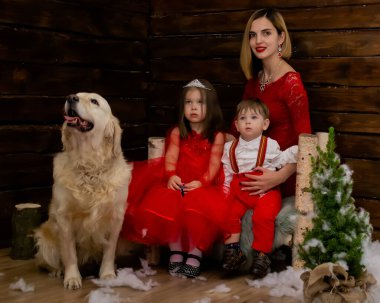 Aile fotoğrafı mı? Annem ve iki çocuğu ve kırmızı elbiseli beyaz bir köpek Noel 'i kutluyorlar, yeni yılı. Mutlu genç anne ve kızı, oğlu ve bir köpek sıcak, karanlık bir oturma odasında