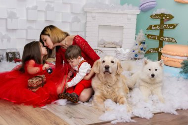 Aile fotoğrafı mı? Annem ve iki çocuğu ve kırmızı elbiseli iki beyaz köpek Noel 'i kutluyor, yeni yılı. Mutlu genç anne ve kızı, oğlu ve köpekleri sıcak, karanlık bir oturma odasında