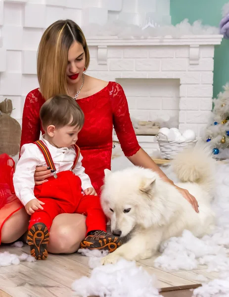Family petting a dog. Family photo portrait. Mom and her son and a white dog in red clothes celebrate the Chistmas, new year. Happy young mother, her child and a dog in a cozy dark living room on