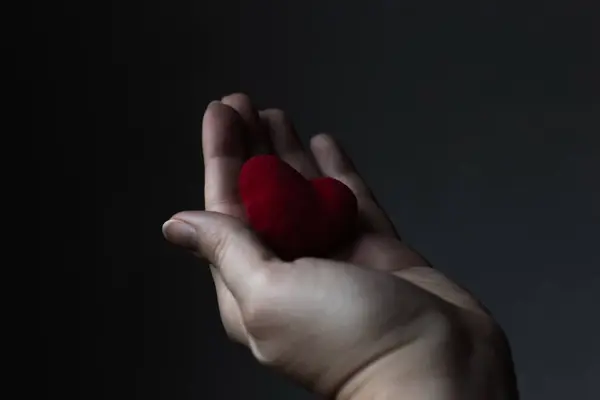 Red heart in womans hand on grey background. The concept of charity, love, donate and helping hand. International cardiology day. A woman gives a red heart to the mans hands.