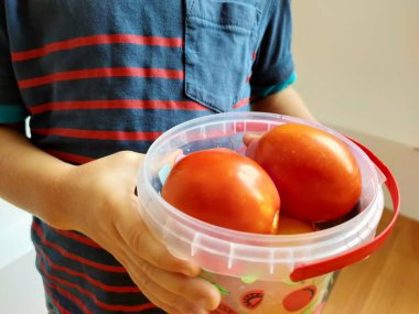Küçük bir çocuk, organik yeşil, sağlıklı bir besinle domates üretiyor. Ellerinde domatesler var. Seçici odaklanma. Evlat. Yüksek kalite fotoğraf