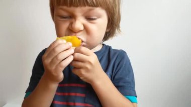 Küçük çocuk elinde domateslerle yemek yiyor ve gri arka planda onlarla eğleniyor. Çocuk sebze ve domates yiyor ve tutuyor. Yüksek kaliteli FullHD görüntüler.