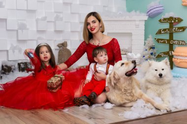 Aile fotoğrafı mı? Annem ve iki çocuğu ve kırmızı elbiseli iki beyaz köpek Noel 'i kutluyor, yeni yılı. Mutlu genç anne ve kızı, oğlu ve köpekleri sıcak, karanlık bir oturma odasında