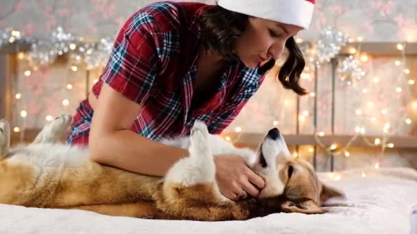 Woman Santa Hat Scratching Happy Corgi Dog Belly Gifts Christmas — Wideo stockowe