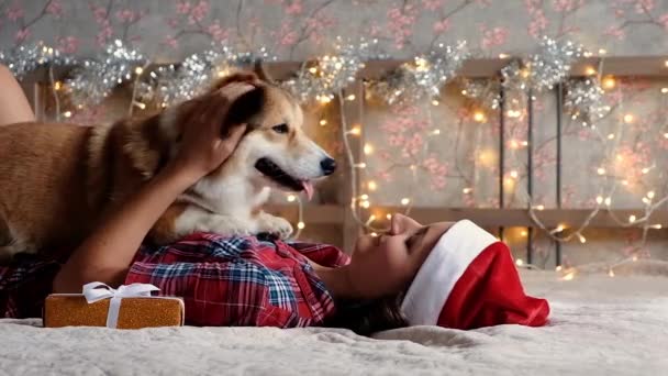 Woman Santa Hat Plays Happy Corgi Dog Gifts Christmas Decorations — Vídeos de Stock