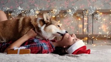 Woman in Santa hat plays with happy Corgi, dog licks face. Gifts and Christmas decorations against the garland lights background. New Year and Christmas concept. Waiting for the holiday