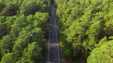 Aerial view of car passing through the green pine forest and mountain on countryside road. Drone view 