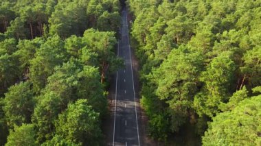 Aerial view of car passing through the green pine forest and mountain on countryside road. Drone view 