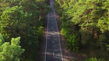 Yeşil çam ormanlarından ve kırsal yoldaki dağlardan geçen arabanın hava görüntüsü. Drone görünümü 