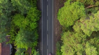 Aerial view of car passing through the green pine forest and mountain on countryside road. Drone view 