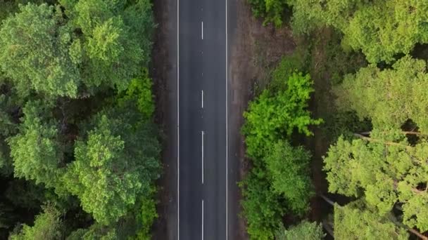 Вид Повітря Автомобіль Проходить Через Зелений Сосновий Ліс Гору Сільській — стокове відео
