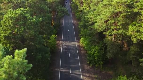 Вид Повітря Автомобіль Проходить Через Зелений Сосновий Ліс Гору Сільській — стокове відео