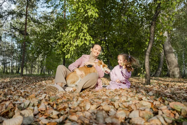 Mom with little girl sitting with friendly welsh pembroke corgi puppy pet, having fun, playing, sitting near house in yard. Pet care, animal life