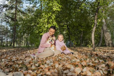 Anne ve küçük kız arkadaş canlısı Galli pembroke corgi köpek yavrusu ile oturuyor, eğleniyor, oynuyor, evin yanında oturuyor. Hayvan bakımı, hayvan hayatı