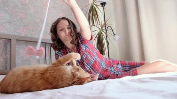 여자가 귀여운 고양이와 침대에서 있습니다 사랑하는 — 비디오
