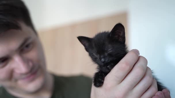 Cute Black Kitten Portrait Sleeping Owners Hands Little Pet Pure — Stock Video