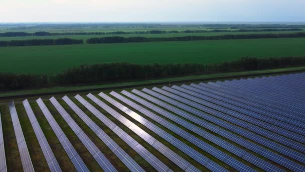 太阳能发电厂的航空视图 可再生能源 绿色技术 生态太阳能电池板在绿色能源景观 电力创新自然环境中的应用 — 图库视频影像