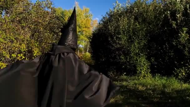 Pequena Menina Bonito Traje Bruxa Chapéu Para Halloween Outono Folhas — Vídeo de Stock