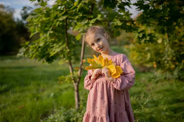Fetița Fericită Colectează Joacă Frunzele Toamnei Căzute Parcul Toamnă Sezonul fotografii de stoc fără drepturi de autor