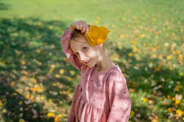 Menina Pequena Feliz Recolhe Joga Com Folhas Caídas Outono Parque Imagens Royalty-Free